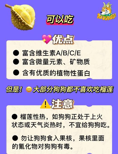 狗狗可以吃莲子吗_狗狗可以吃莲子嘛-第5张图片-后鲨宠物 狗狗可以吃莲子吗_狗狗可以吃莲子嘛-第5张图片-后鲨宠物