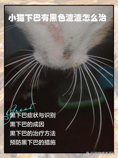  猫咪口腔上颚有块黑色，猫猫口腔上部有个黑块-第3张图片-后鲨宠物