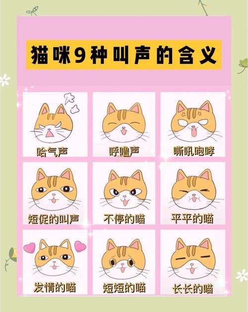 猫咪高兴的叫声,猫咪高兴的叫声怎么形容-第4张图片-后鲨宠物 猫咪高兴的叫声,猫咪高兴的叫声怎么形容-第4张图片-后鲨宠物