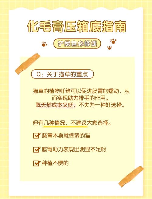 猫咪多大能吃化毛膏,猫咪多大吃化毛膏多大驱虫-第1张图片-后鲨宠物 猫咪多大能吃化毛膏,猫咪多大吃化毛膏多大驱虫-第1张图片-后鲨宠物