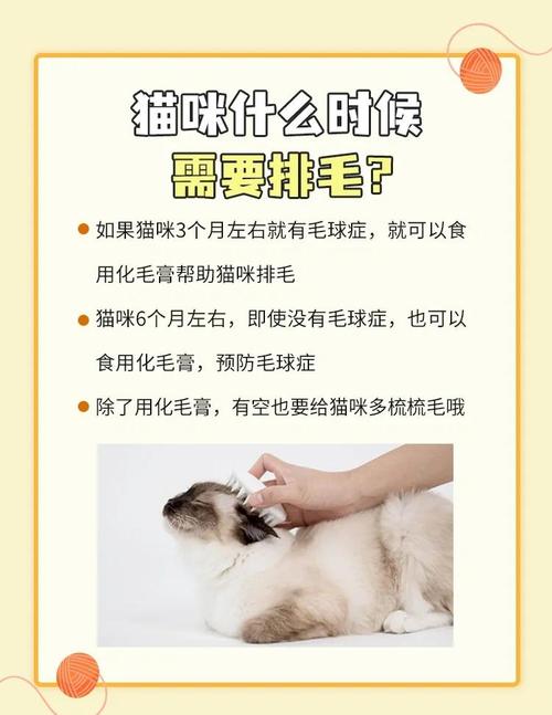 猫咪多大能吃化毛膏,猫咪多大吃化毛膏多大驱虫-第5张图片-后鲨宠物 猫咪多大能吃化毛膏,猫咪多大吃化毛膏多大驱虫-第5张图片-后鲨宠物