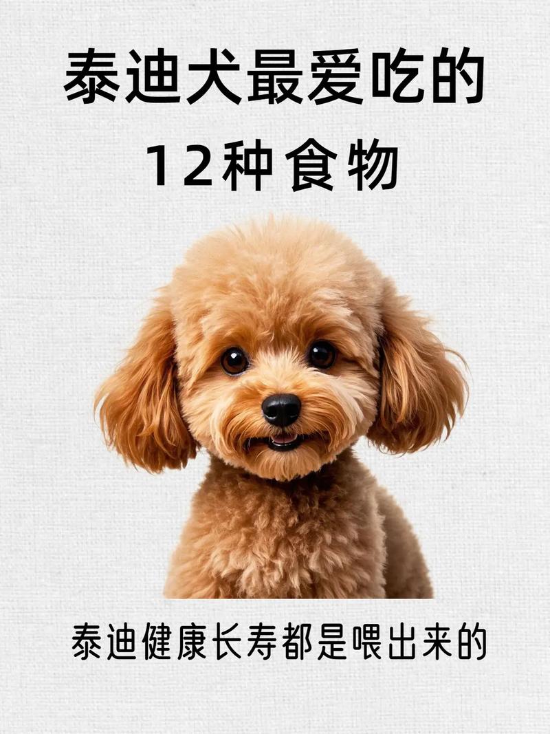  泰迪狗狗能吃鱼吗，泰迪狗狗可以吃鱼吗-第4张图片-后鲨宠物