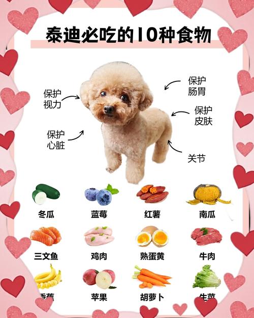  泰迪狗狗能吃鱼吗，泰迪狗狗可以吃鱼吗-第6张图片-后鲨宠物