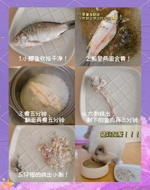 猫咪鱼汤怎么做_给猫熬鱼汤怎么熬-第2张图片-后鲨宠物 猫咪鱼汤怎么做_给猫熬鱼汤怎么熬-第2张图片-后鲨宠物