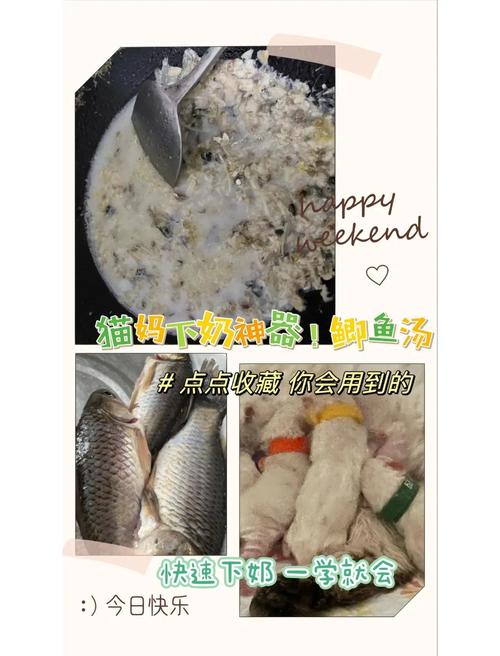 猫咪鱼汤怎么做_给猫熬鱼汤怎么熬-第3张图片-后鲨宠物 猫咪鱼汤怎么做_给猫熬鱼汤怎么熬-第3张图片-后鲨宠物