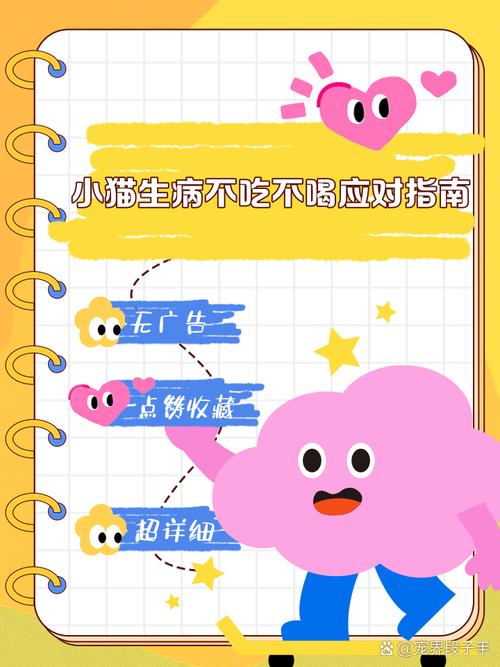 猫咪不喝药怎么办_猫咪不吃药怎么办?-第1张图片-后鲨宠物