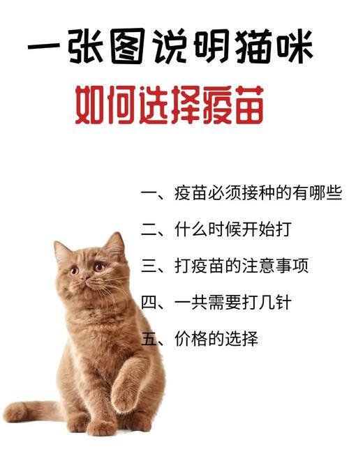 猫猫需要打什么疫苗,猫猫打什么疫苗呢-第2张图片-后鲨宠物 猫猫需要打什么疫苗,猫猫打什么疫苗呢-第2张图片-后鲨宠物