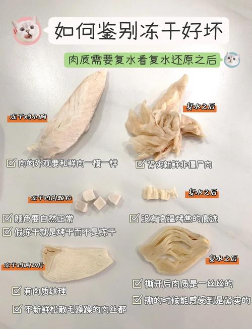 狗狗可以吃草莓干吗_狗狗能吃草莓嘛?-第6张图片-后鲨宠物 狗狗可以吃草莓干吗_狗狗能吃草莓嘛?-第6张图片-后鲨宠物