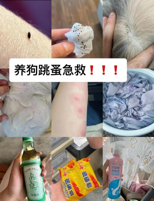 如何除狗狗身上的跳蚤_怎样去除狗身上跳蚤-第3张图片-后鲨宠物 如何除狗狗身上的跳蚤_怎样去除狗身上跳蚤-第3张图片-后鲨宠物