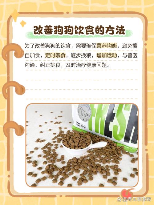 狗狗不吃狗粮是怎么回事，狗不吃狗粮的原因？-第2张图片-后鲨宠物