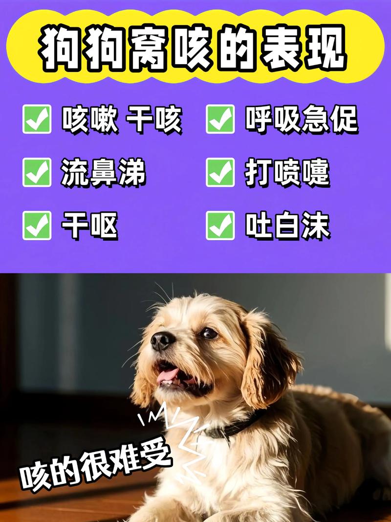 狗狗咳嗽拉稀怎么回事_狗狗咳嗽拉稀怎么回事儿
