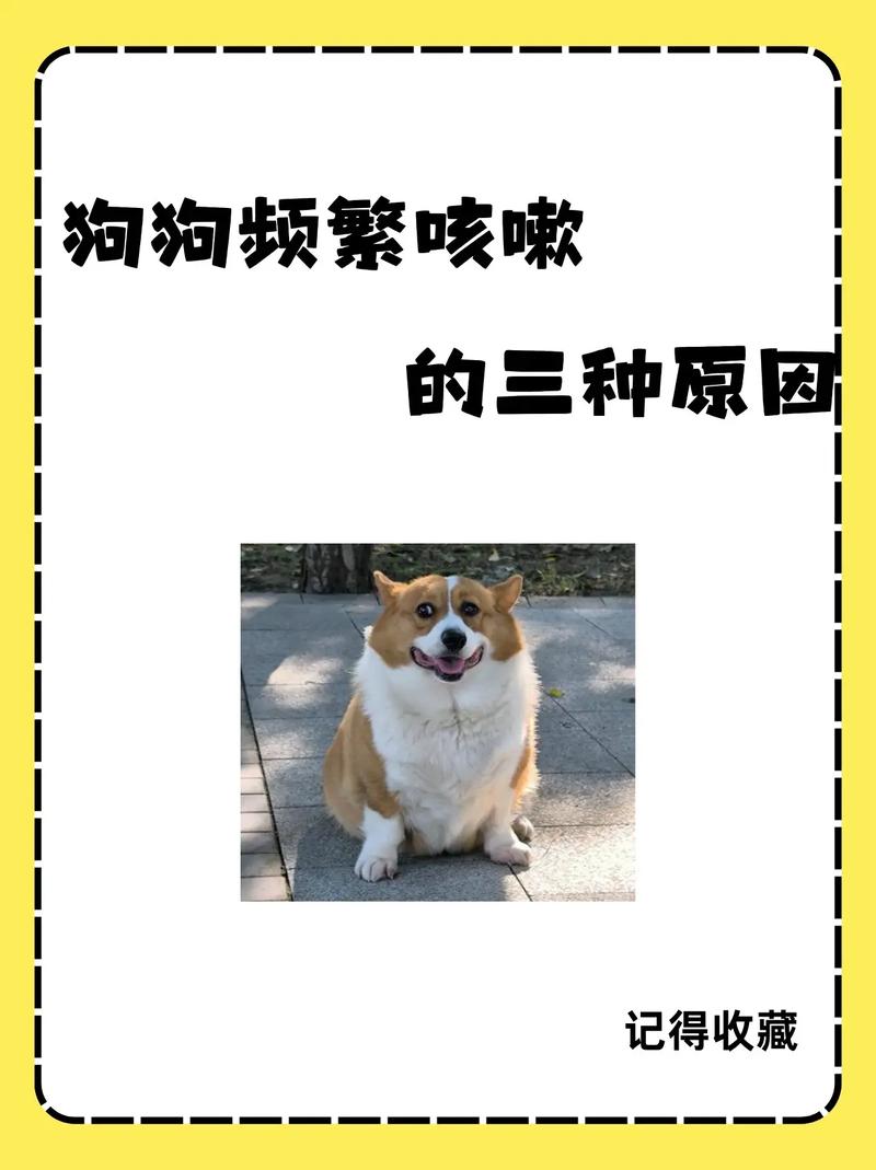 狗狗咳嗽拉稀怎么回事_狗狗咳嗽拉稀怎么回事儿-第5张图片-后鲨宠物