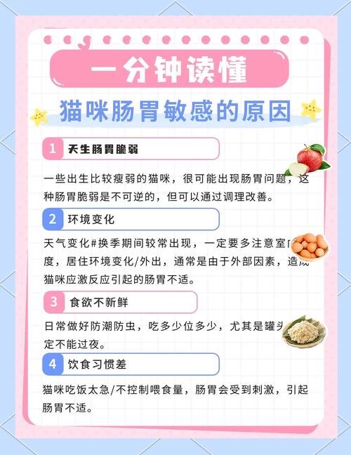 猫咪益生菌的作用,猫咪益生菌真的有用吗?-第2张图片-后鲨宠物 猫咪益生菌的作用,猫咪益生菌真的有用吗?-第2张图片-后鲨宠物