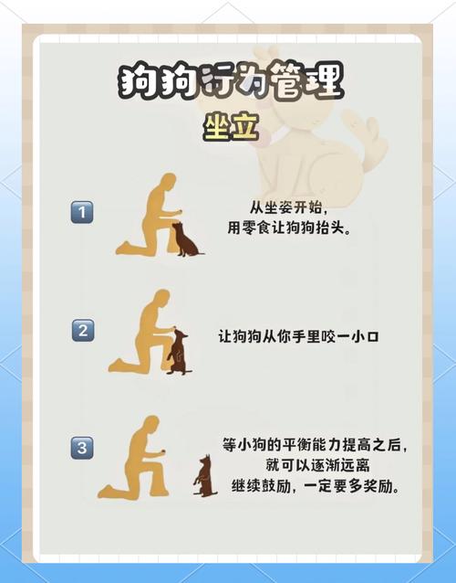 如何训练狗狗不咬人_怎么训练狗狗不咬狗-第3张图片-后鲨宠物