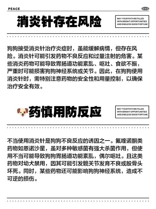 狗狗打抗生素的危害性,狗狗打抗生素的副作用?-第3张图片-后鲨宠物 狗狗打抗生素的危害性,狗狗打抗生素的副作用?-第3张图片-后鲨宠物