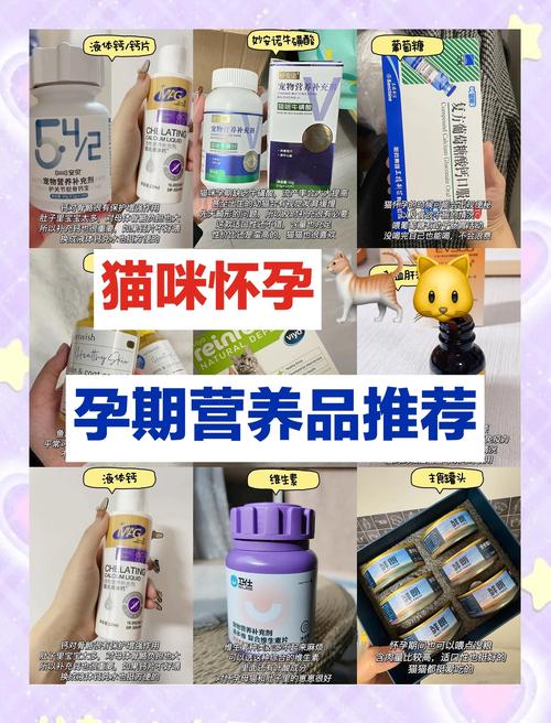 猫咪怀孕吃什么补充营养,猫咪怀孕后吃什么营养餐?-第1张图片-后鲨宠物 猫咪怀孕吃什么补充营养,猫咪怀孕后吃什么营养餐?-第1张图片-后鲨宠物