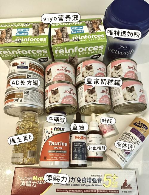 猫咪怀孕吃什么补充营养,猫咪怀孕后吃什么营养餐?-第6张图片-后鲨宠物 猫咪怀孕吃什么补充营养,猫咪怀孕后吃什么营养餐?-第6张图片-后鲨宠物