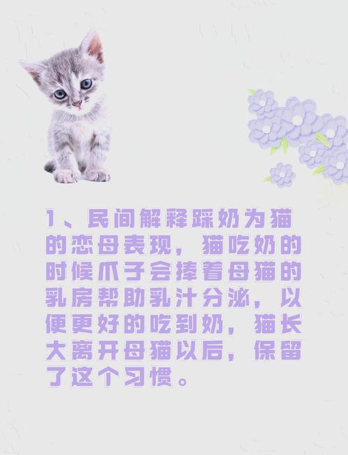 猫猫一直踩奶_猫猫一直踩奶不停-第6张图片-后鲨宠物 猫猫一直踩奶_猫猫一直踩奶不停-第6张图片-后鲨宠物