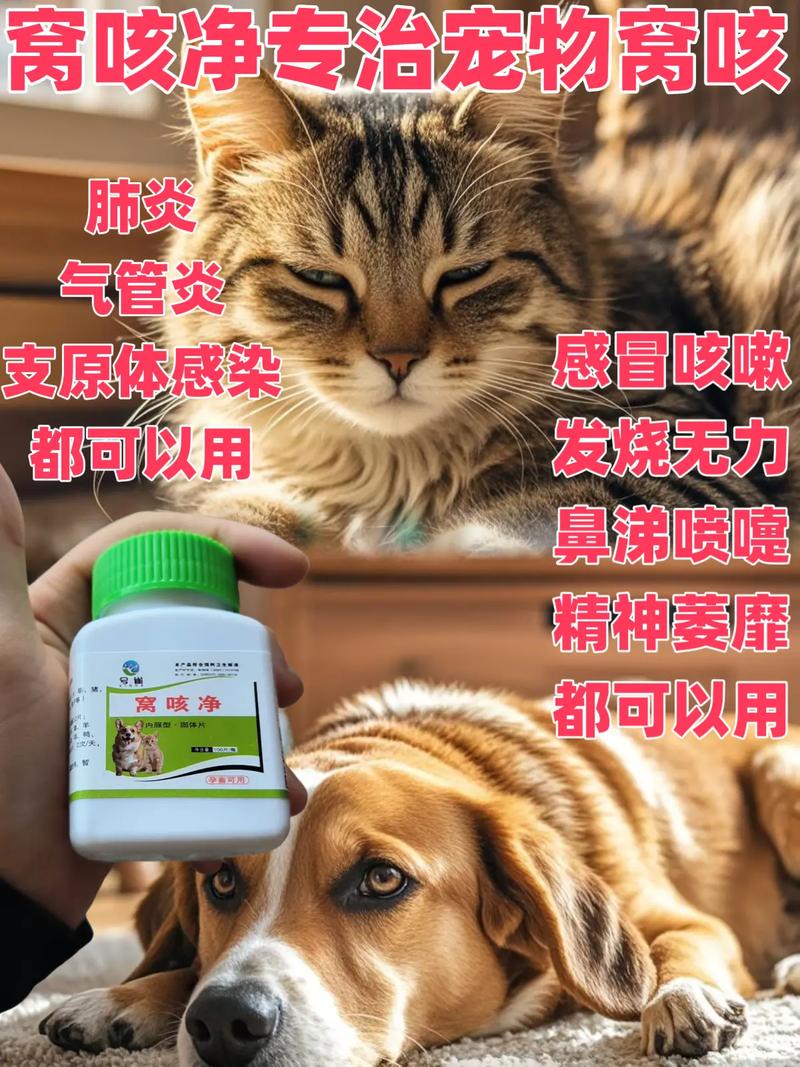  狗狗流鼻涕是怎么回事，狗狗流鼻涕是怎么回事吃什么药