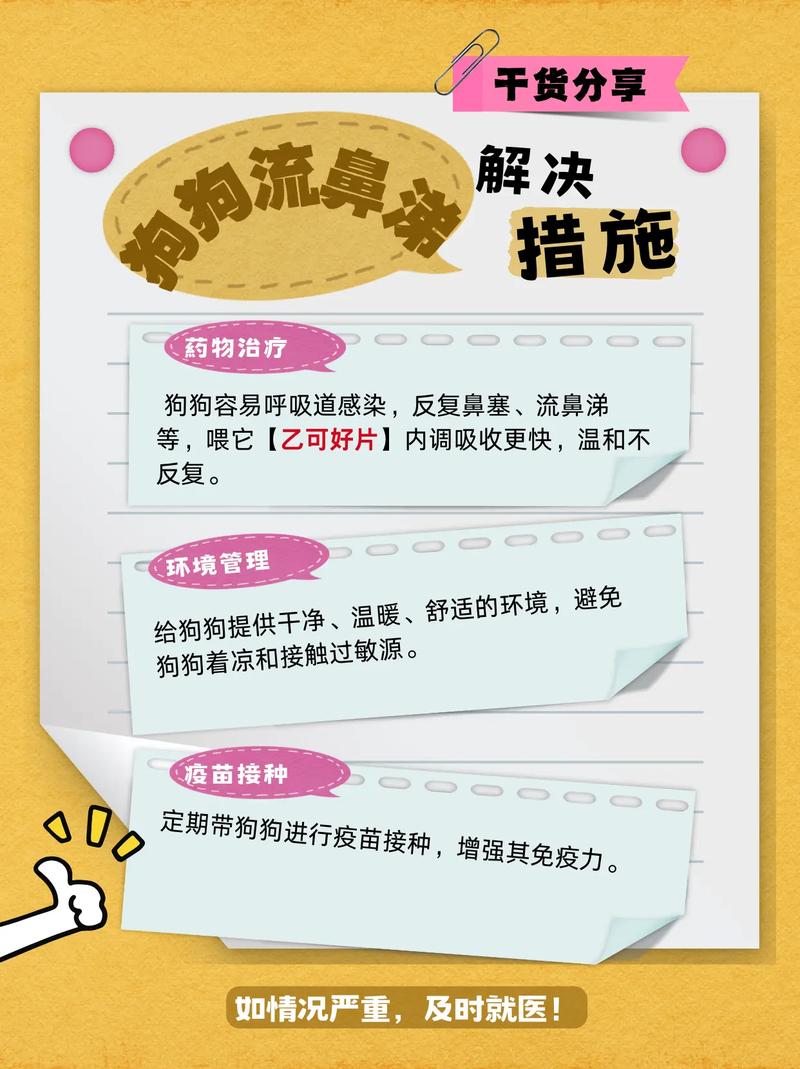  狗狗流鼻涕是怎么回事，狗狗流鼻涕是怎么回事吃什么药-第4张图片-后鲨宠物
