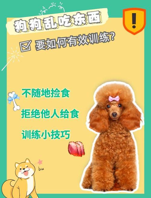  小狗狗怎么训练，小狗狗怎么训练教程