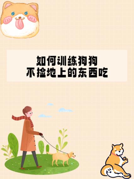  小狗狗怎么训练，小狗狗怎么训练教程-第3张图片-后鲨宠物