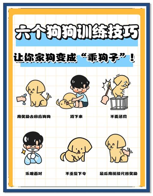  小狗狗怎么训练，小狗狗怎么训练教程-第6张图片-后鲨宠物