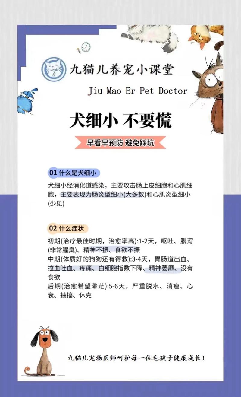  狗狗如何预防细小，狗狗如何预防细小病发生
