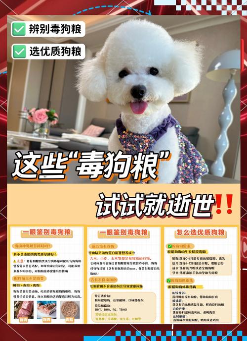  狗狗可以不吃狗粮吗，狗狗可以不吃狗粮吗吃饭吗-第3张图片-后鲨宠物