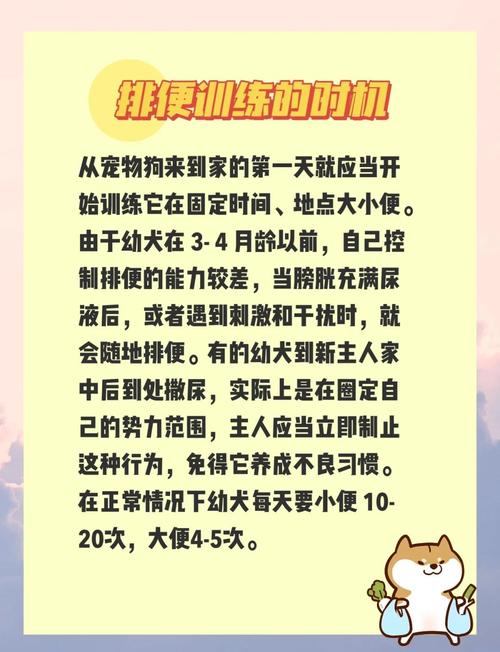 怎么让狗狗不吃屎,如何让狗子不吃屎?-第3张图片-后鲨宠物 怎么让狗狗不吃屎,如何让狗子不吃屎?-第3张图片-后鲨宠物