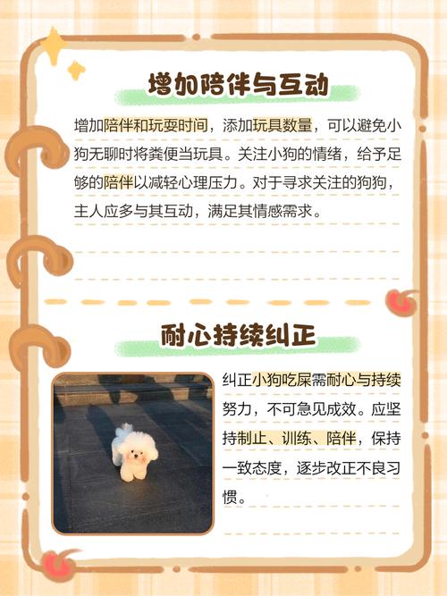 怎么让狗狗不吃屎,如何让狗子不吃屎?-第6张图片-后鲨宠物 怎么让狗狗不吃屎,如何让狗子不吃屎?-第6张图片-后鲨宠物