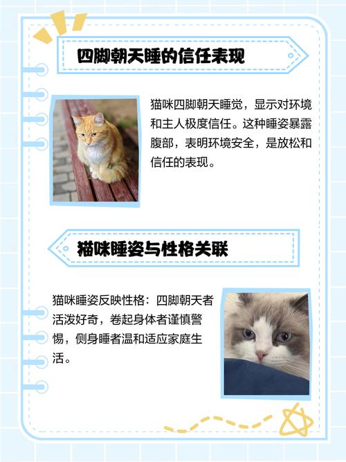 猫咪四脚朝天睡觉_猫咪四脚朝天睡觉是有安全感吗-第4张图片-后鲨宠物 猫咪四脚朝天睡觉_猫咪四脚朝天睡觉是有安全感吗-第4张图片-后鲨宠物