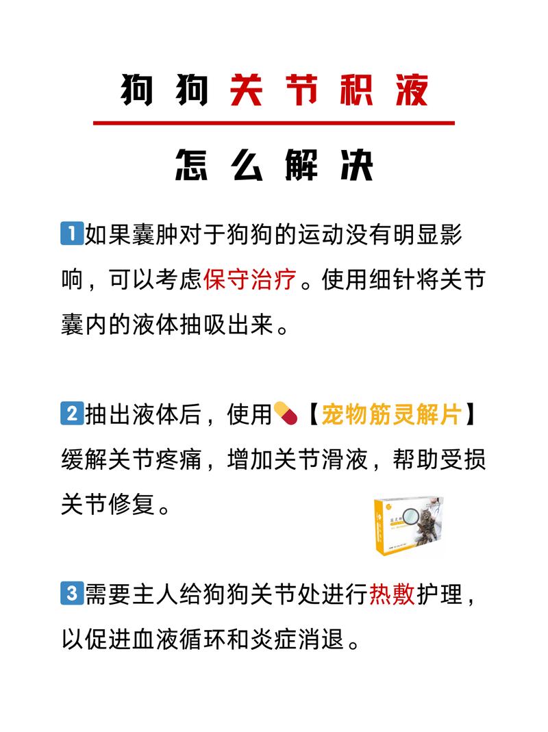 狗狗关节积液会自愈吗_狗狗关节积液吃什么药-第4张图片-后鲨宠物 狗狗关节积液会自愈吗_狗狗关节积液吃什么药-第4张图片-后鲨宠物
