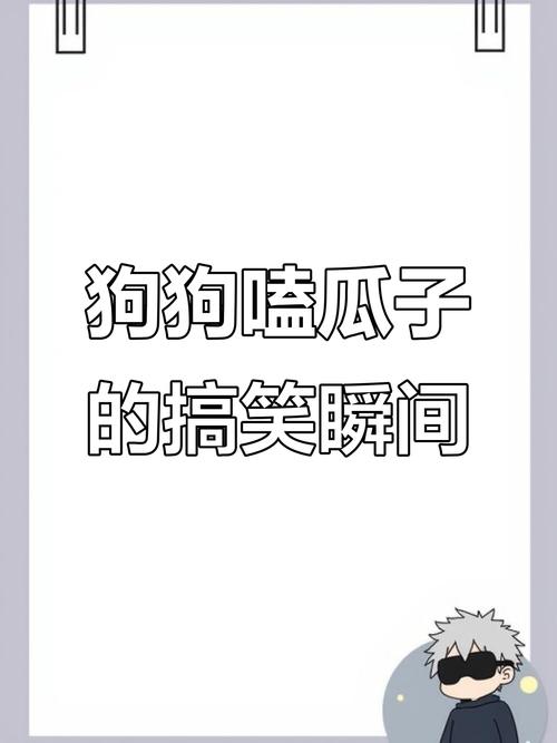 狗狗可以吃瓜子仁吗,狗狗可不可以吃瓜子-第2张图片-后鲨宠物 狗狗可以吃瓜子仁吗,狗狗可不可以吃瓜子-第2张图片-后鲨宠物