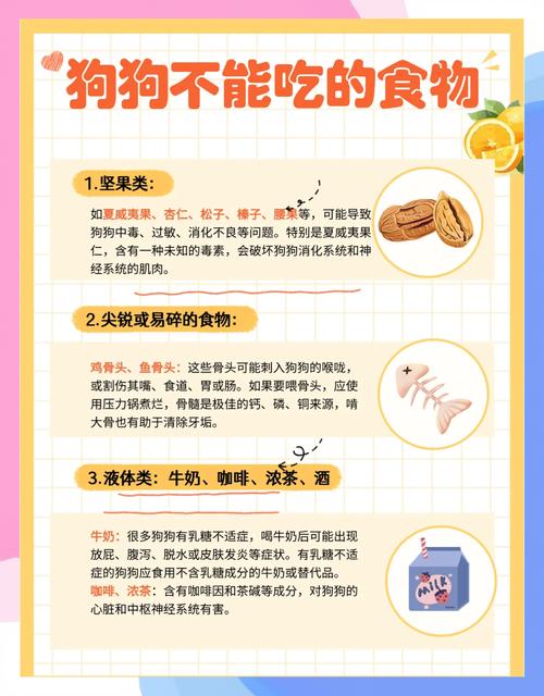 狗狗可以吃瓜子仁吗,狗狗可不可以吃瓜子-第3张图片-后鲨宠物 狗狗可以吃瓜子仁吗,狗狗可不可以吃瓜子-第3张图片-后鲨宠物