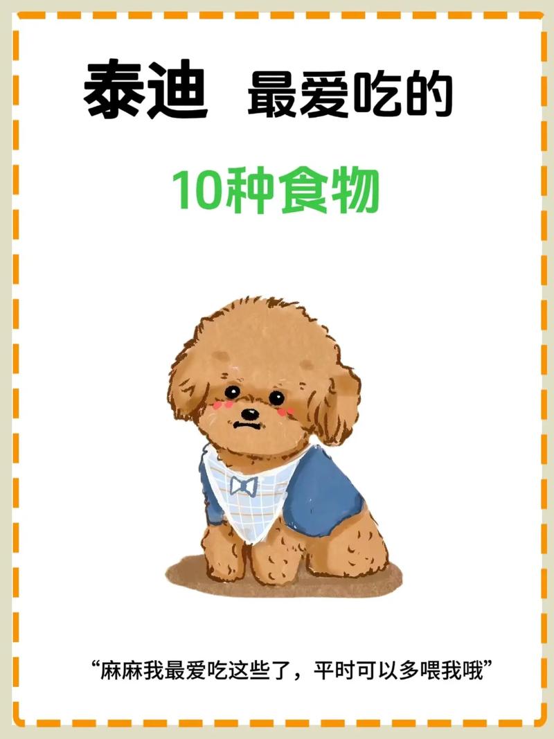  泰迪狗狗吃什么，泰迪狗狗吃什么食物比较好最健康-第2张图片-后鲨宠物
