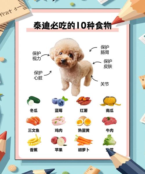  泰迪狗狗吃什么，泰迪狗狗吃什么食物比较好最健康-第3张图片-后鲨宠物