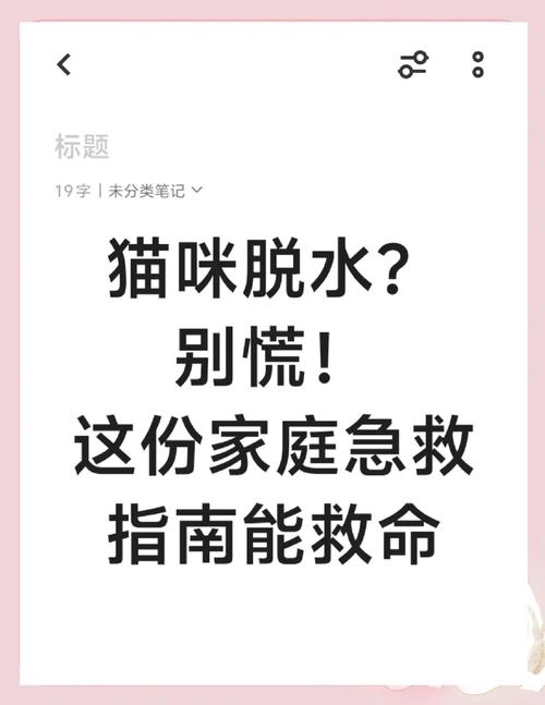 猫咪脱水怎么办_猫咪脱水死前的征兆-第1张图片-后鲨宠物 猫咪脱水怎么办_猫咪脱水死前的征兆-第1张图片-后鲨宠物