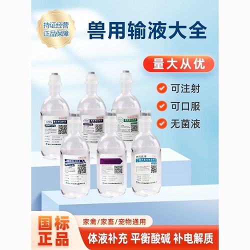 猫咪脱水怎么办_猫咪脱水死前的征兆-第2张图片-后鲨宠物 猫咪脱水怎么办_猫咪脱水死前的征兆-第2张图片-后鲨宠物