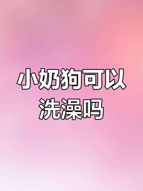 一个月大的狗狗可以洗澡吗,一个月大的狗狗能洗澡吗?-第3张图片-后鲨宠物 一个月大的狗狗可以洗澡吗,一个月大的狗狗能洗澡吗?-第3张图片-后鲨宠物