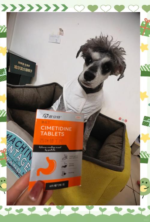 狗狗不消化怎么办，狗狗不消化的症状及治疗？