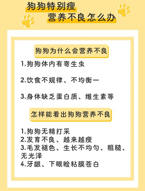 狗狗不消化怎么办,狗狗不消化的症状及治疗?-第3张图片-后鲨宠物 狗狗不消化怎么办,狗狗不消化的症状及治疗?-第3张图片-后鲨宠物