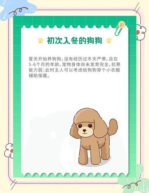 狗狗秋天怕冷吗_秋天狗狗会不会冷-第5张图片-后鲨宠物 狗狗秋天怕冷吗_秋天狗狗会不会冷-第5张图片-后鲨宠物