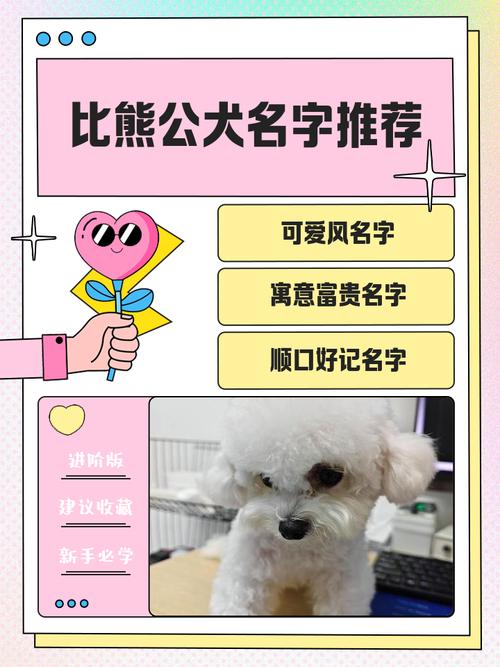 创意狗狗名字大全,狗狗名字独特小众?-第5张图片-后鲨宠物 创意狗狗名字大全,狗狗名字独特小众?-第5张图片-后鲨宠物