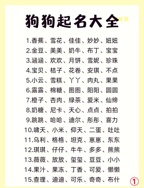 创意狗狗名字大全,狗狗名字独特小众?-第6张图片-后鲨宠物 创意狗狗名字大全,狗狗名字独特小众?-第6张图片-后鲨宠物