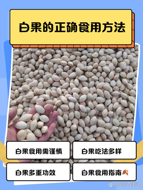  狗狗能吃白果吗，狗能吃白果么-第2张图片-后鲨宠物