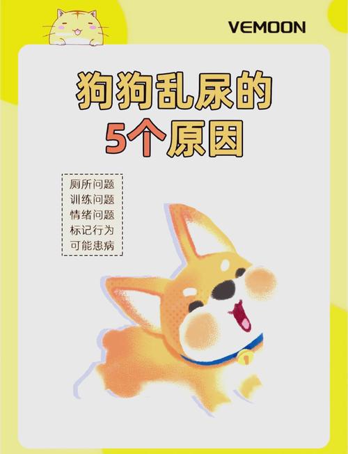 狗狗大小便乱拉怎么办_狗狗乱尿最简单的方法-第4张图片-后鲨宠物 狗狗大小便乱拉怎么办_狗狗乱尿最简单的方法-第4张图片-后鲨宠物