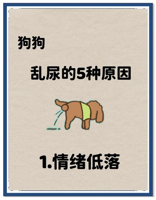 狗狗大小便乱拉怎么办_狗狗乱尿最简单的方法-第5张图片-后鲨宠物 狗狗大小便乱拉怎么办_狗狗乱尿最简单的方法-第5张图片-后鲨宠物