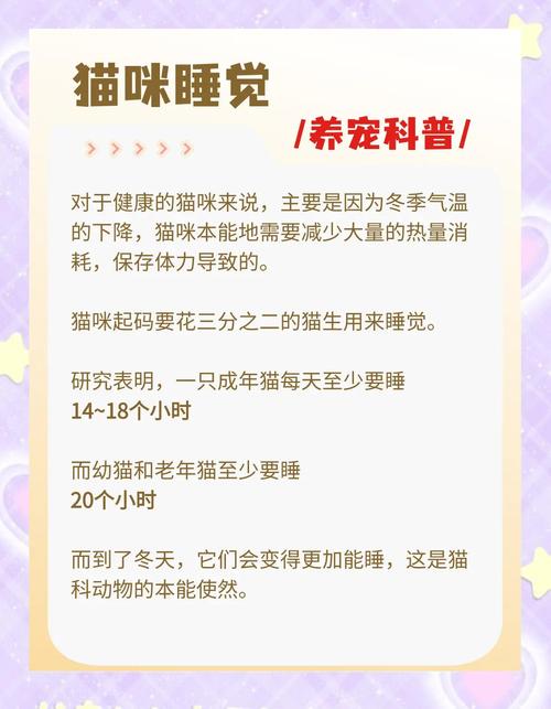 猫咪冬天吃的少_天冷猫咪吃的少-第1张图片-后鲨宠物 猫咪冬天吃的少_天冷猫咪吃的少-第1张图片-后鲨宠物
