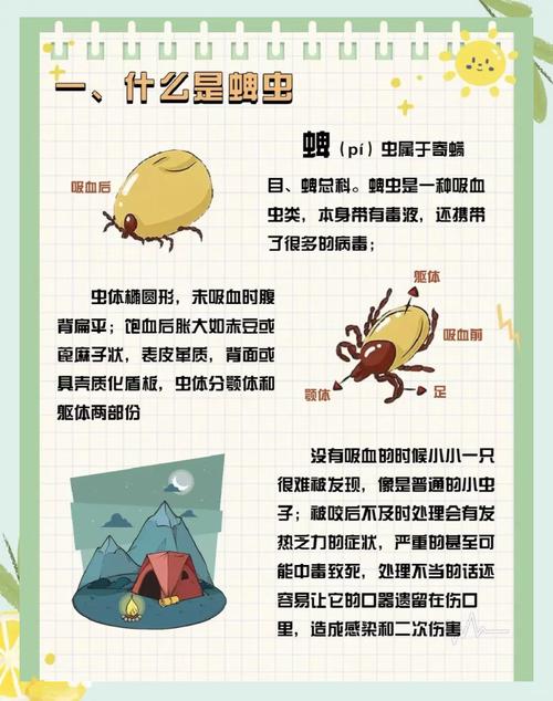  狗狗蜱虫怎么处理，狗身上有蜱虫还能养吗